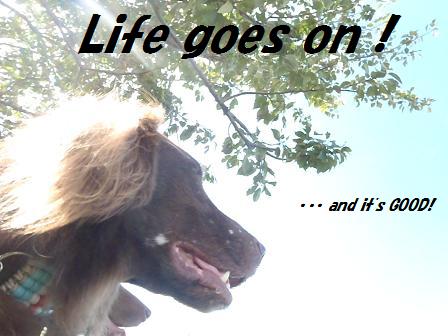 B15OCT12 100lifegoeson