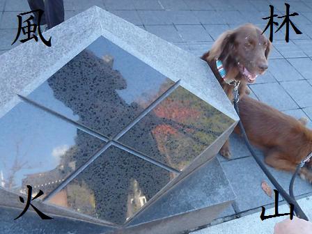 コピー ~ 12NOV12 144TAKEDA