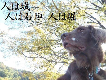 コピー ~ A12NOV12 039TS
