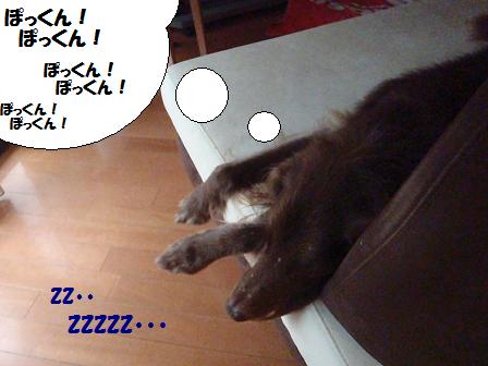 コピー ~ 22NOV12 003dreaming
