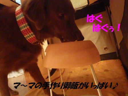 B11DEC12 029HN