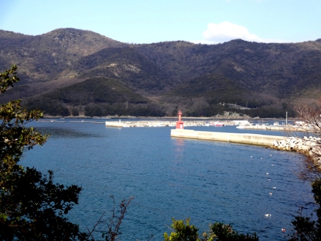 DSC09363.jpg