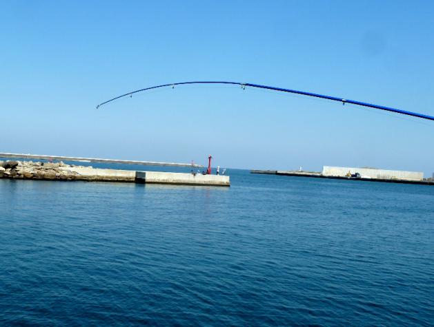 P1120186.jpg
