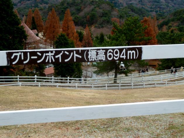 P1150237.jpg