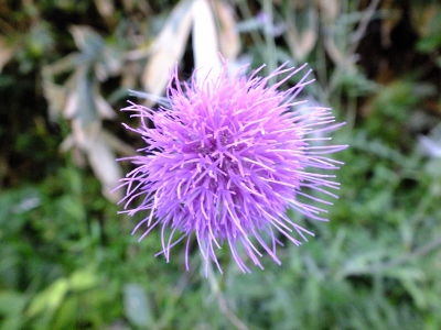 034 (400x300)