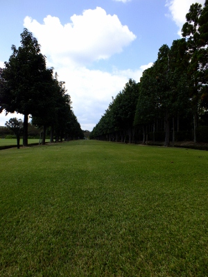 112 (300x400)