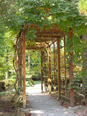 115 (300x400)
