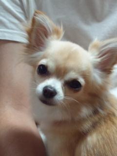 120610あ
