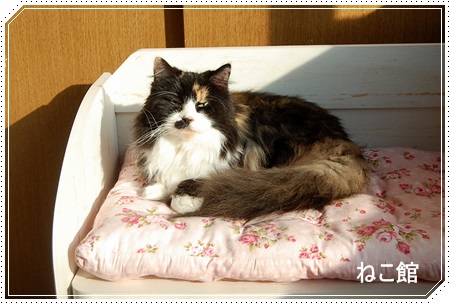 blog2_2014020512515894f.jpg
