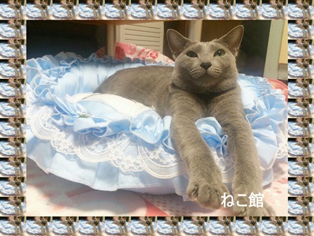 blog2_201402092329253ca.jpg