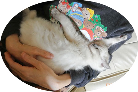 blog3_20140124131822d7f.jpg