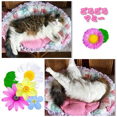 blog5_20130519232057.jpg