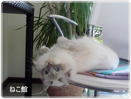 blog_20130530124848.jpg