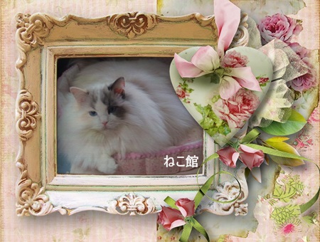 blog_20140131094631412.jpg