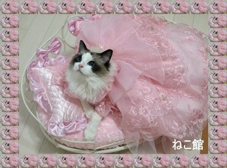 blog_20140207140947d9a.jpg