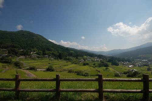DSC_1404.jpg