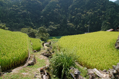 DSC_1406.jpg