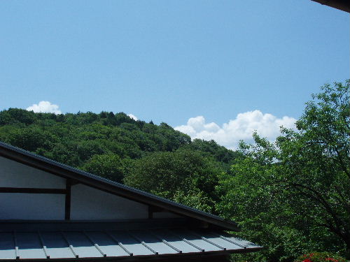 P6290009.jpg