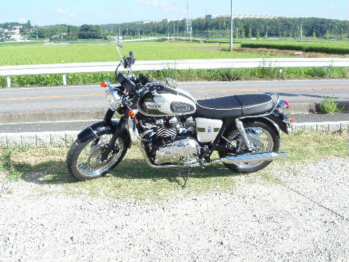 P8050004.jpg