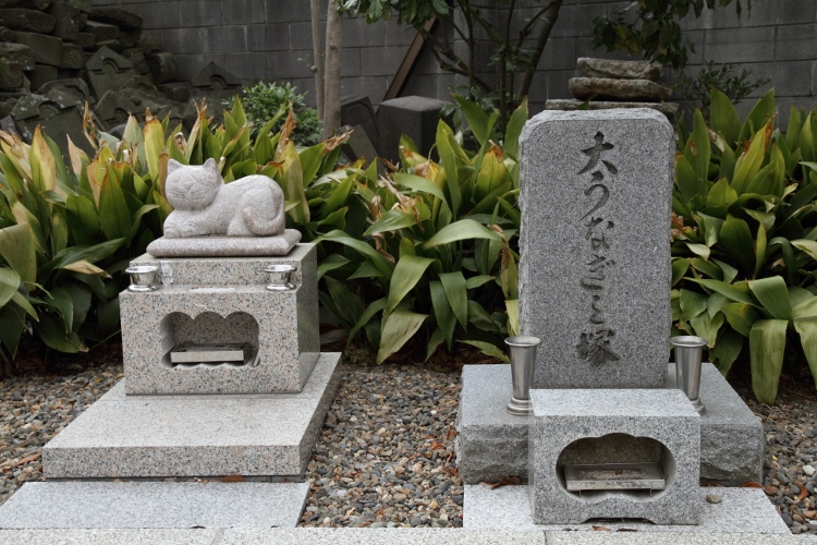 nishiarai_0019f.jpg