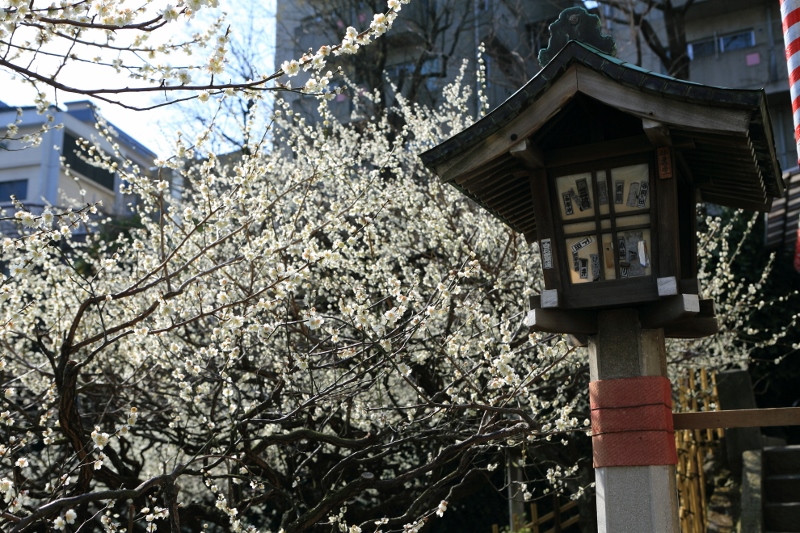 yushima-t_0002f.jpg