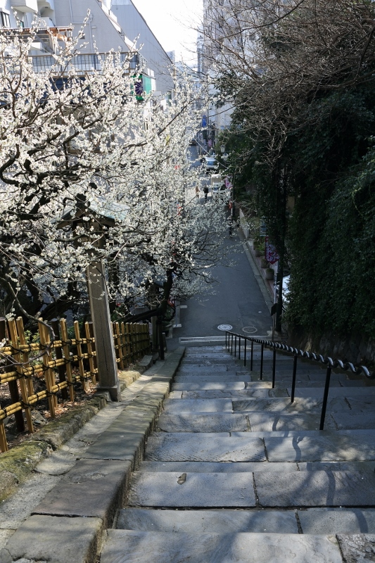 yushima-t_0003f.jpg