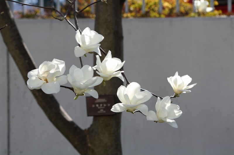 yutenji2_0009f.jpg