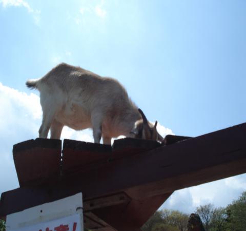 繝峨う繝・搗・托シ廟convert_20130412224345
