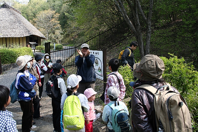 20130414shizen_1.jpg
