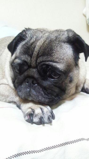 20110730_1.jpg