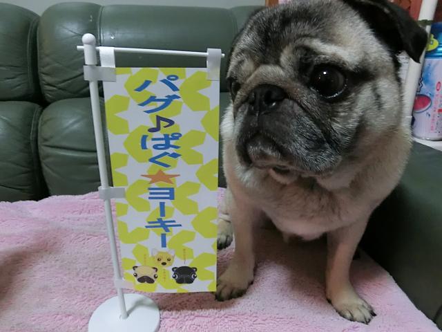 purin.jpg