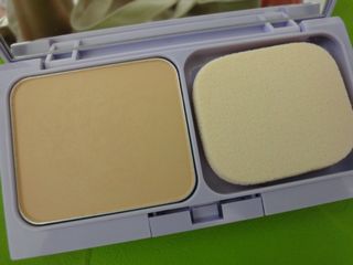 DSC01172.jpg