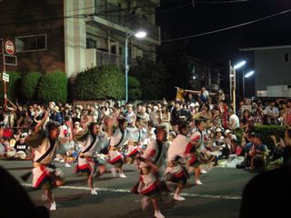 DSC01488.jpg