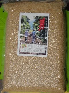 DSC01740.jpg
