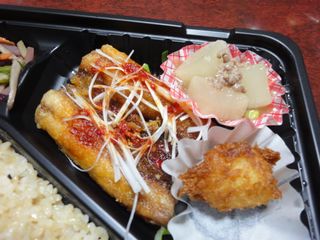 DSC02204.jpg
