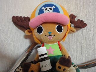 DSC02316.jpg