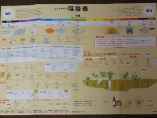 DSC02358.jpg