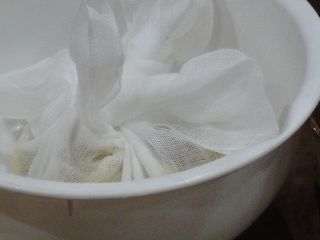 DSC02484.jpg