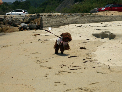 1338424983Ew42BJj0PYBjHMB.gif