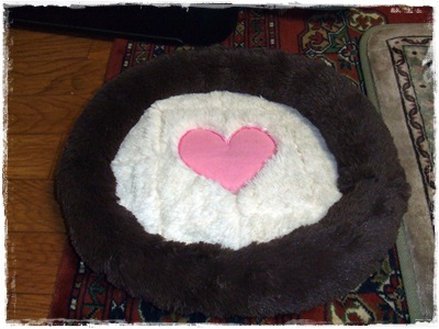 DSCF2751.jpg
