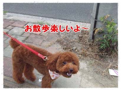 DSCF3113.jpg