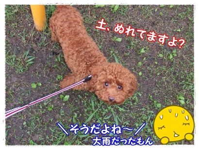 DSCF3319.jpg