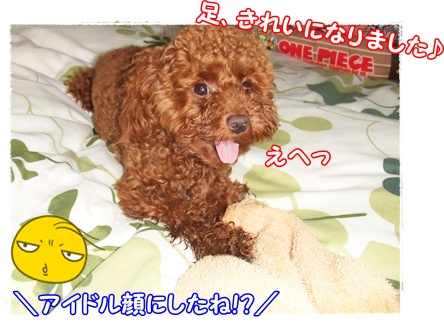 DSCF3326.jpg