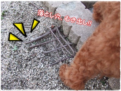 DSCF4435.jpg