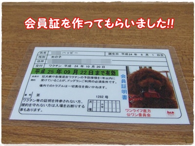 DSCF4480.jpg