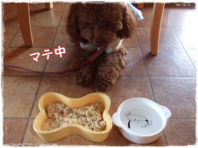 DSCF5149.jpg