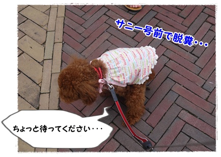 P1090630.jpg