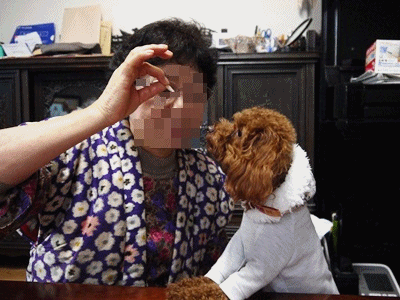 anigif2_20121218114918.gif