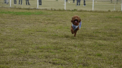 anigif_20121015153654.gif