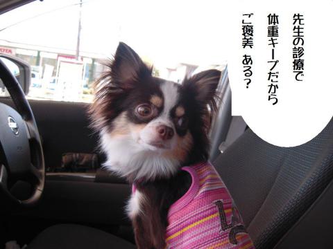 DSCN0083 ご褒美